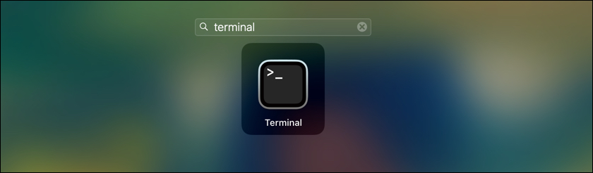 terminal.png