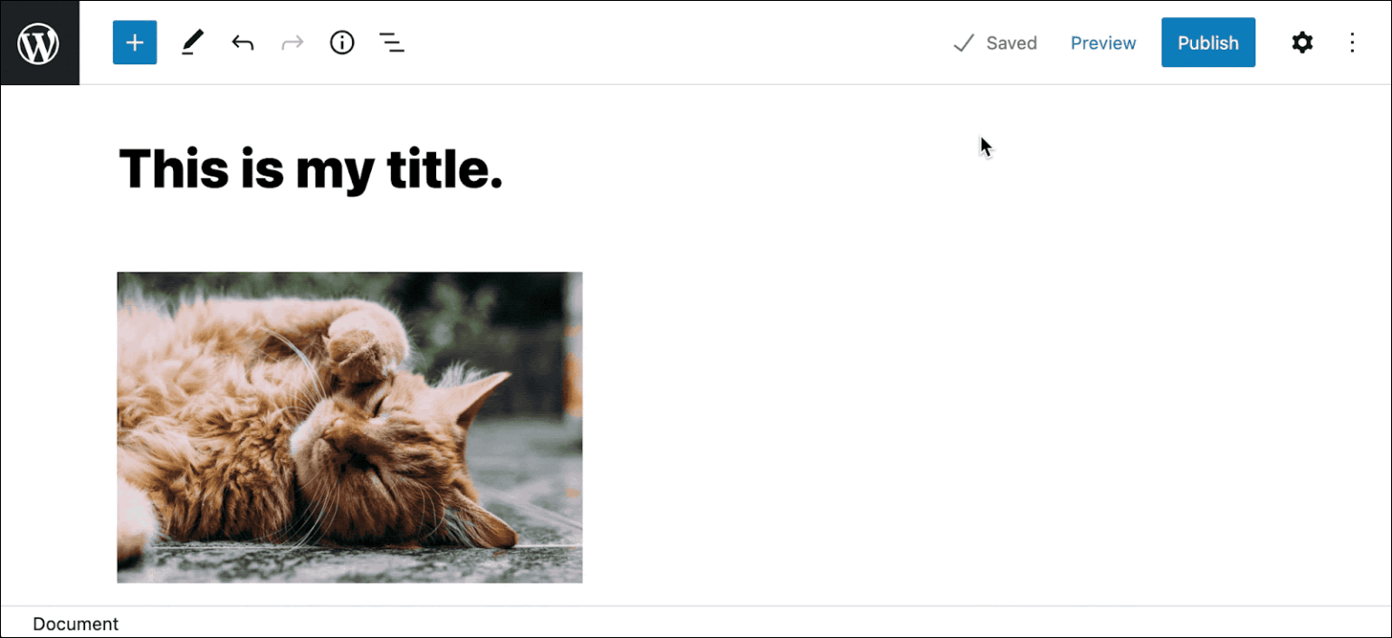 4--1536x703.gif