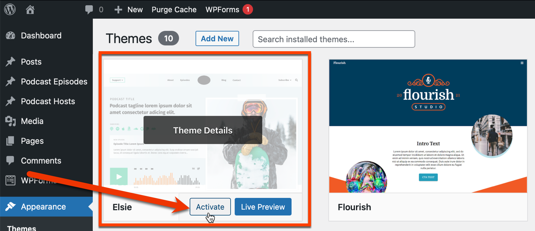 activate_theme_details.png